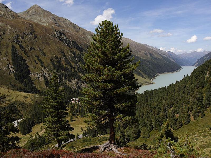 Plattnerhof Kaunertal Exterior foto