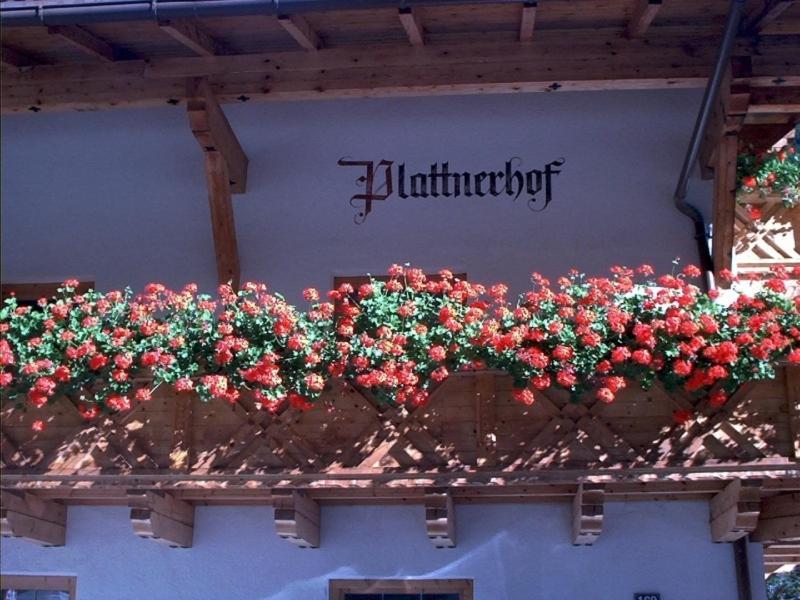 Plattnerhof Kaunertal Habitación foto